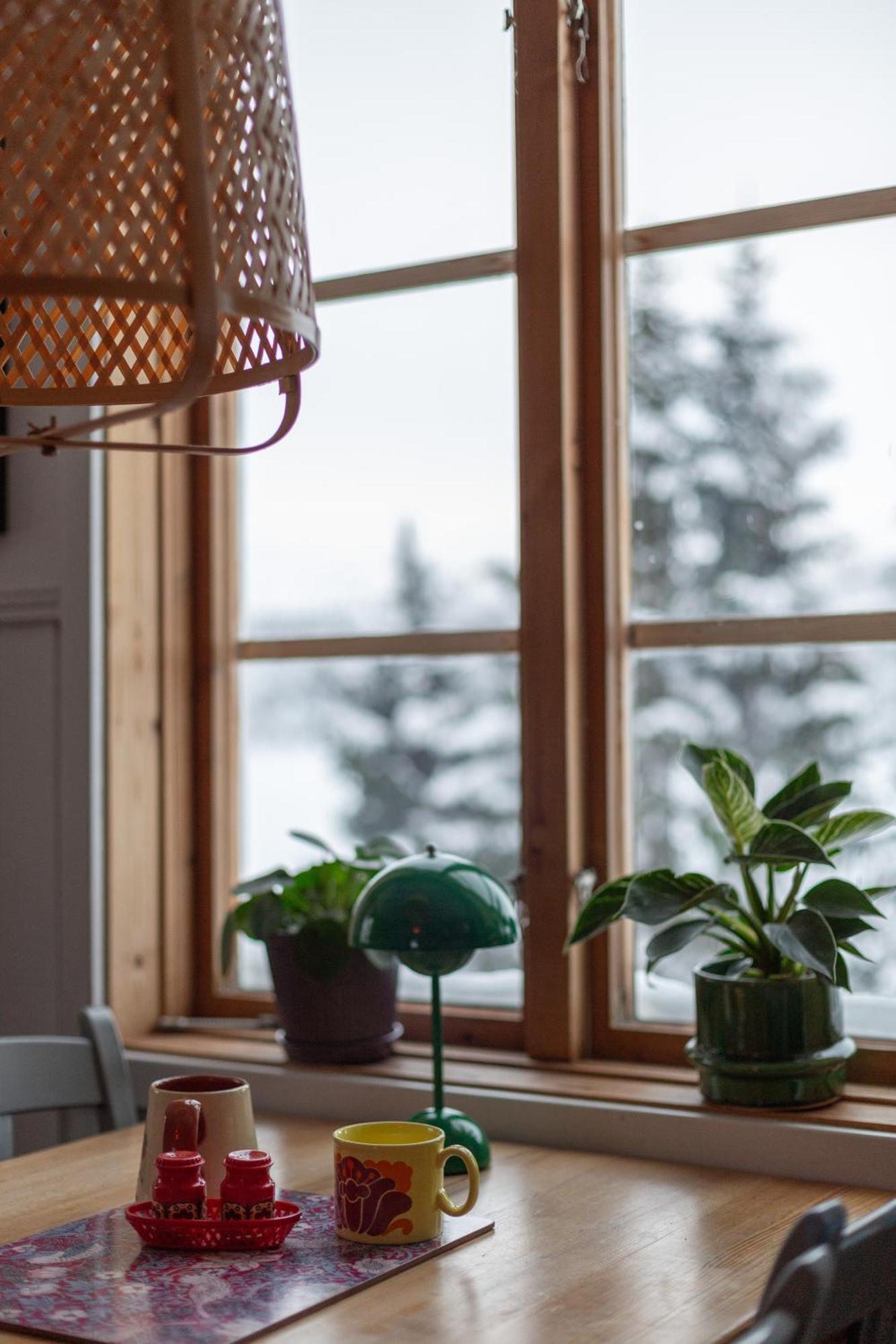 Strandgarden Fjaellnaes Tänndalen エクステリア 写真